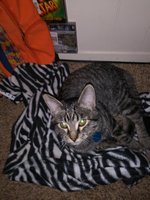 20181110_210306.jpg