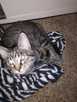 20181110_210302.jpg