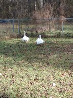IMG_20181229_124840.jpg