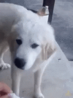 C3ED598D-A69A-4715-94A7-A7B8A4542458.gif