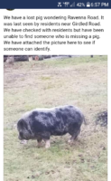 QuickMemo+_2019-01-01-18-57-27.png