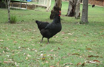 IMG_3748.JPG IMG_3748.JPG