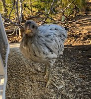 0757A8AF-7A1C-4BF6-B9A3-CAD22B6B7458.jpeg