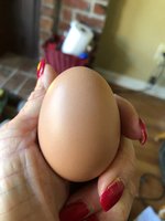 B74F9B22-0CC0-4F7C-BC48-57B18E47F7B4.jpeg