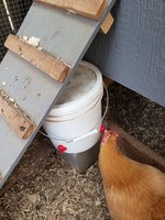 waterer.jpg