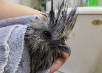 bath 1.jpg
