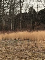 BDC7F824-B883-4DE1-B9B4-579BD80CA2D6.jpeg