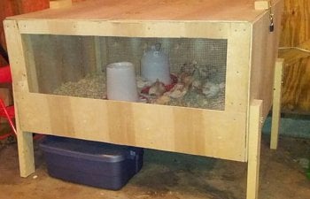 Wooden-DIY-Chick-Brooder.jpg Wooden-DIY-Chick-Brooder.jpg