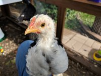 IMG_20181008_122933.jpg