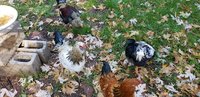 20181225_124724.jpg