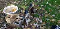 20181225_124717.jpg