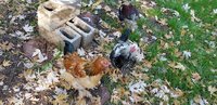 20181225_124710.jpg