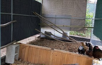 IMG_20190107_093019634.jpg