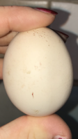 09AC5B0F-EF5E-4938-8835-8F51B9E73053.png