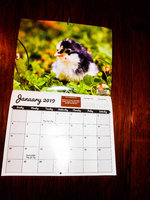 calendar (3 of 1).jpg