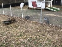 IMG_4373.JPG