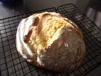 Boule 2019.JPG