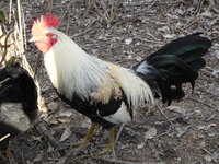 DSCN7391.JPG