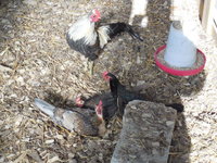 DSCN7395.JPG