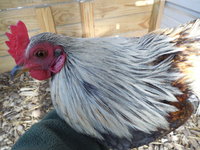 DSCN7399.JPG