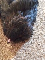 20181231_002307.jpg