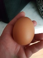 20190109_165247.jpg