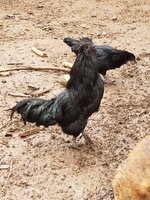 20181024_095210.jpg