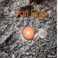 Fart Egg.jpg