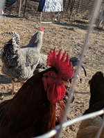 IMG_20190110_154755.jpg