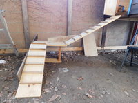 DSCN0798.JPG