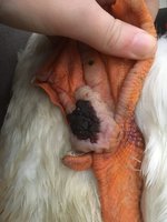 D683CF3F-FE66-4760-9B0D-F1C06210E108.jpeg