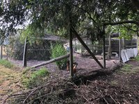 IMG_1838.jpg