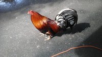 20180613_165000.jpg