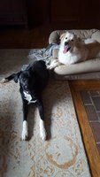 20190113_100640.jpg