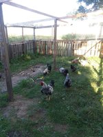 20180915_174244.jpg