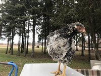 47F1B00E-DE01-4178-BA07-BE782B29F664.jpeg