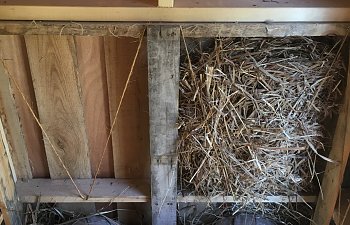 straw insulation.jpg