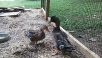 20180523_122131.jpg