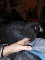 20190114_220354.jpg