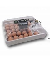 incubator warehouse.jpg