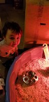 20190115_093948.jpg