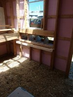 nest boxes.jpg