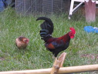 DSCF4003.JPG