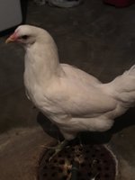 09828282-F99D-4FFC-8841-5B79FA5A1523.jpeg