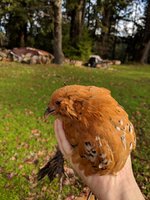 IMG_20190113_101623.jpg