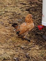 MVIMG_20190118_103018.jpg