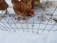 20171216_120817.jpg