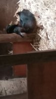 VIDEO_20190117_154929_fx18.jpg