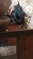 VIDEO_20190117_154929_fx19.jpg