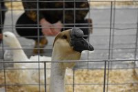 DSC_0354.jpg